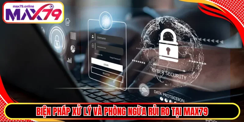 Biện pháp xử lý và phòng ngừa rủi ro tại MAX79
