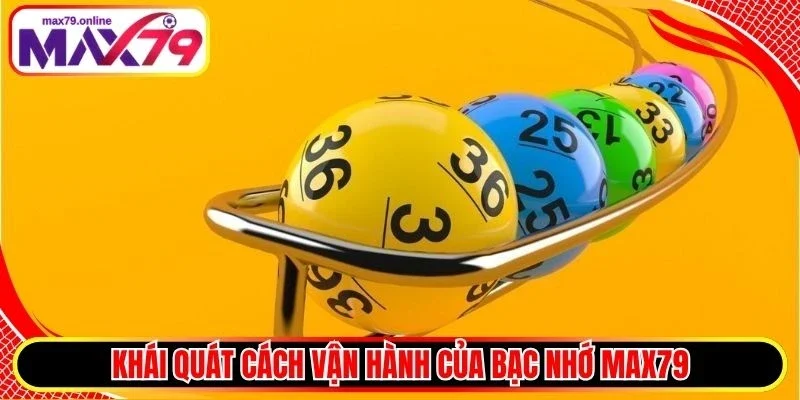 Khái quát cách vận hành của bạc nhớ Max79