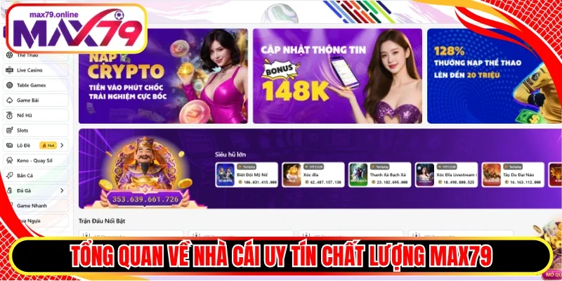 Tổng quan về nhà cái uy tín chất lượng Max79